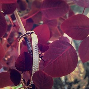 Michael Kors Adjustable Gold Beaded Bracelet